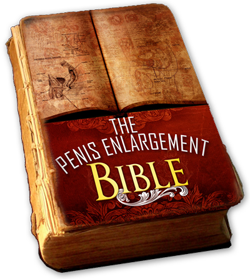 Pe Bible Pdf file File John Collins's The Penis Enlargement Bible Evaluation